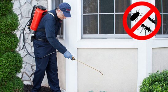 Tercan Hamam Böceği İlaçlama böcek ilaçlama ve haşere kontrolü — ilaclama-tr.com
